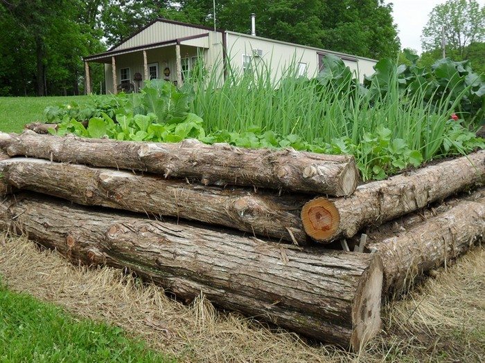 Cedar Log Raised Garden Bed Raised Garden
