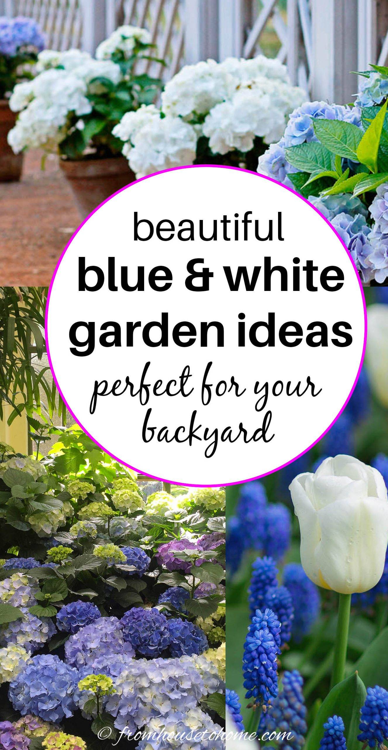Blue White Garden Design Ideas Gardening