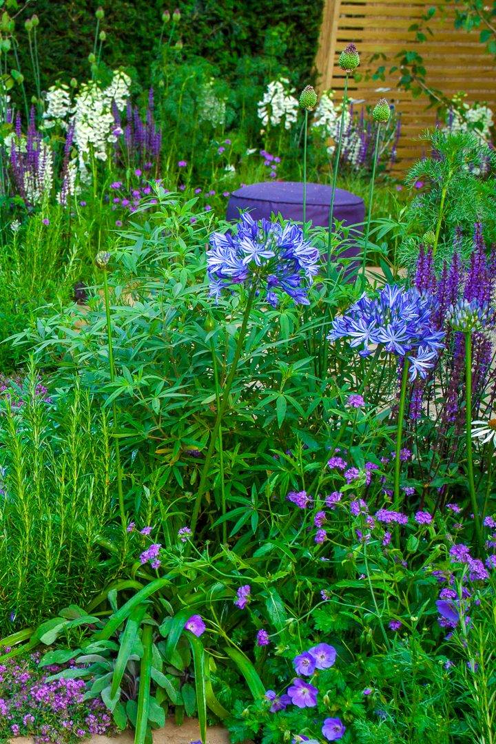 Blue White Garden Design Ideas Gardening