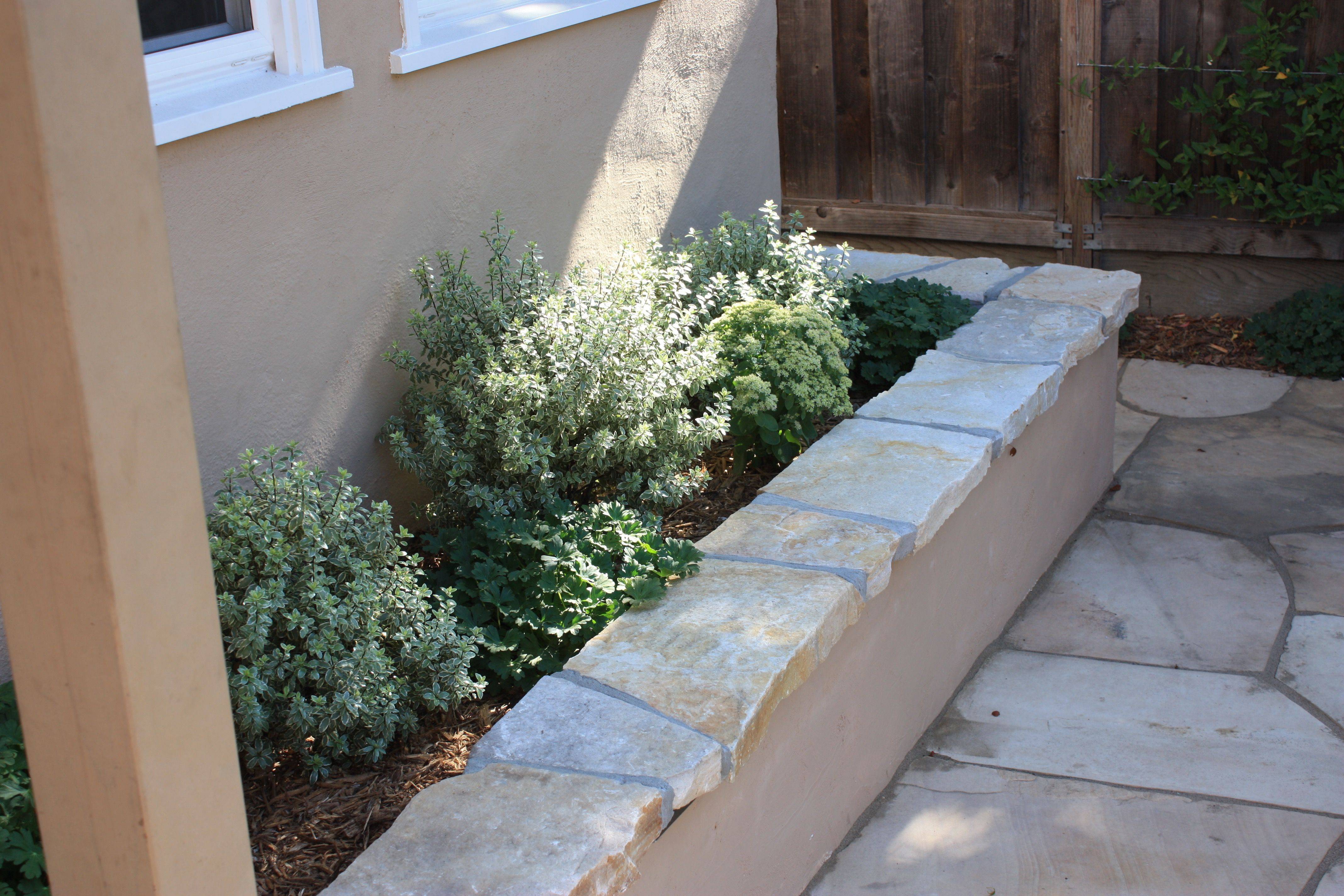 Stucco Garden Wall Modern Garden