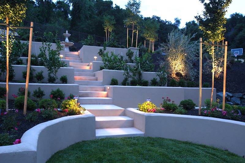 Backyard Landscaping