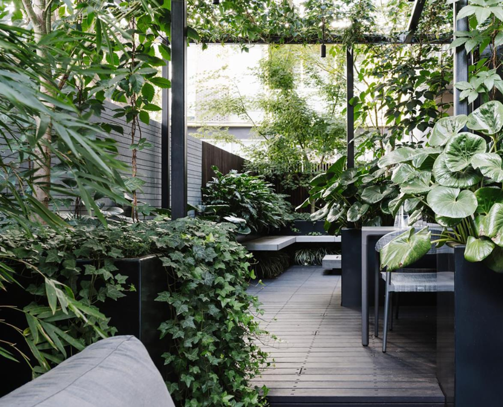 Innercity Garden Ideas