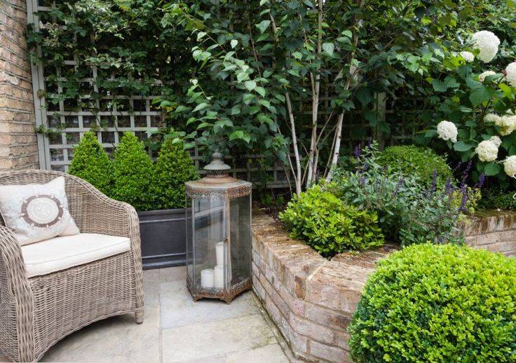 A Bushlandinspired Innercity Garden