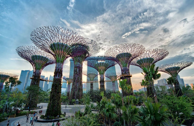 Singapores Futuristic Gardens