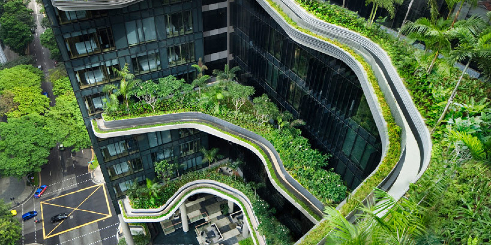 A Garden Vision