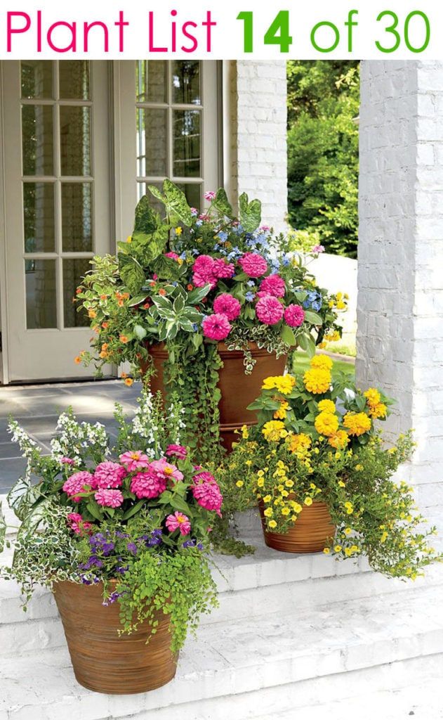 Stunning Container Garden Planting Ideas Container Garden Design