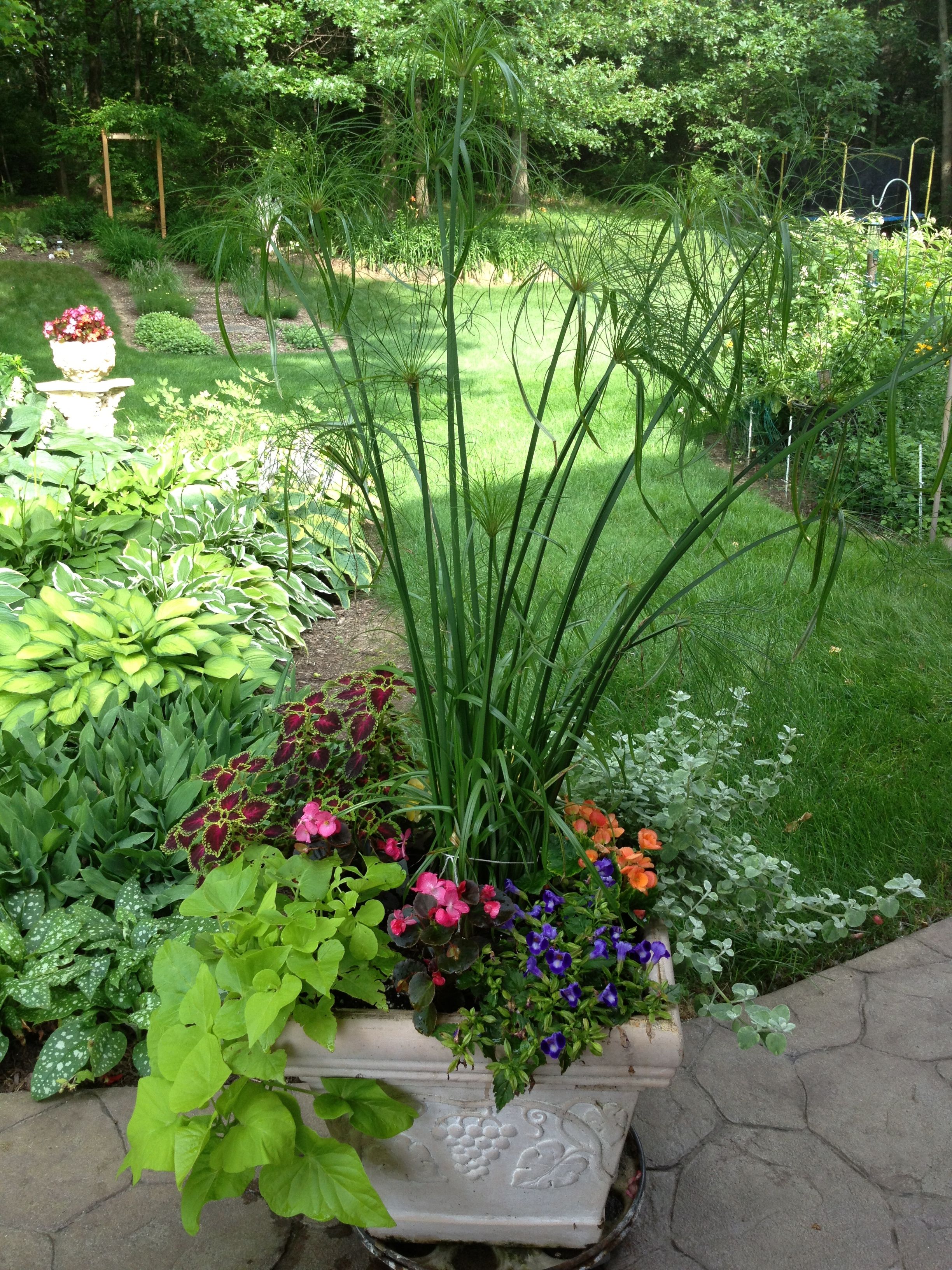 Stunning Container Garden Planting Ideas