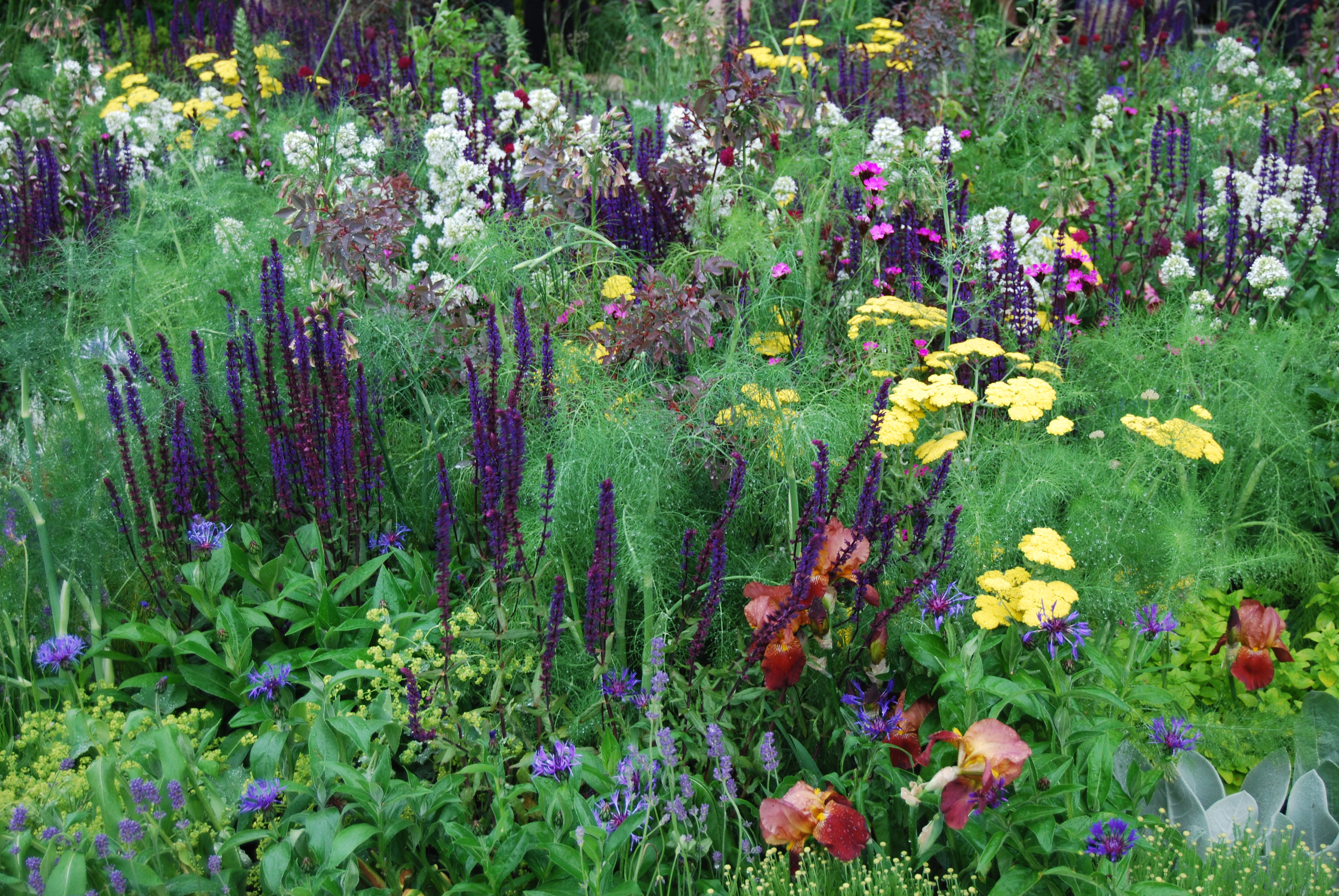 A Cottage Garden