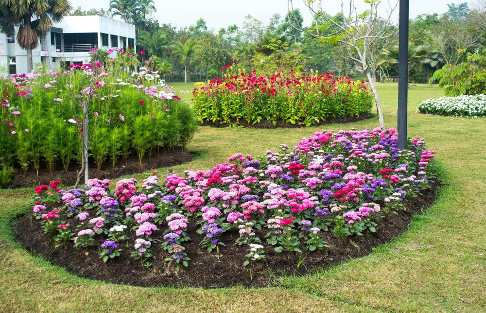 Pin On Garden
