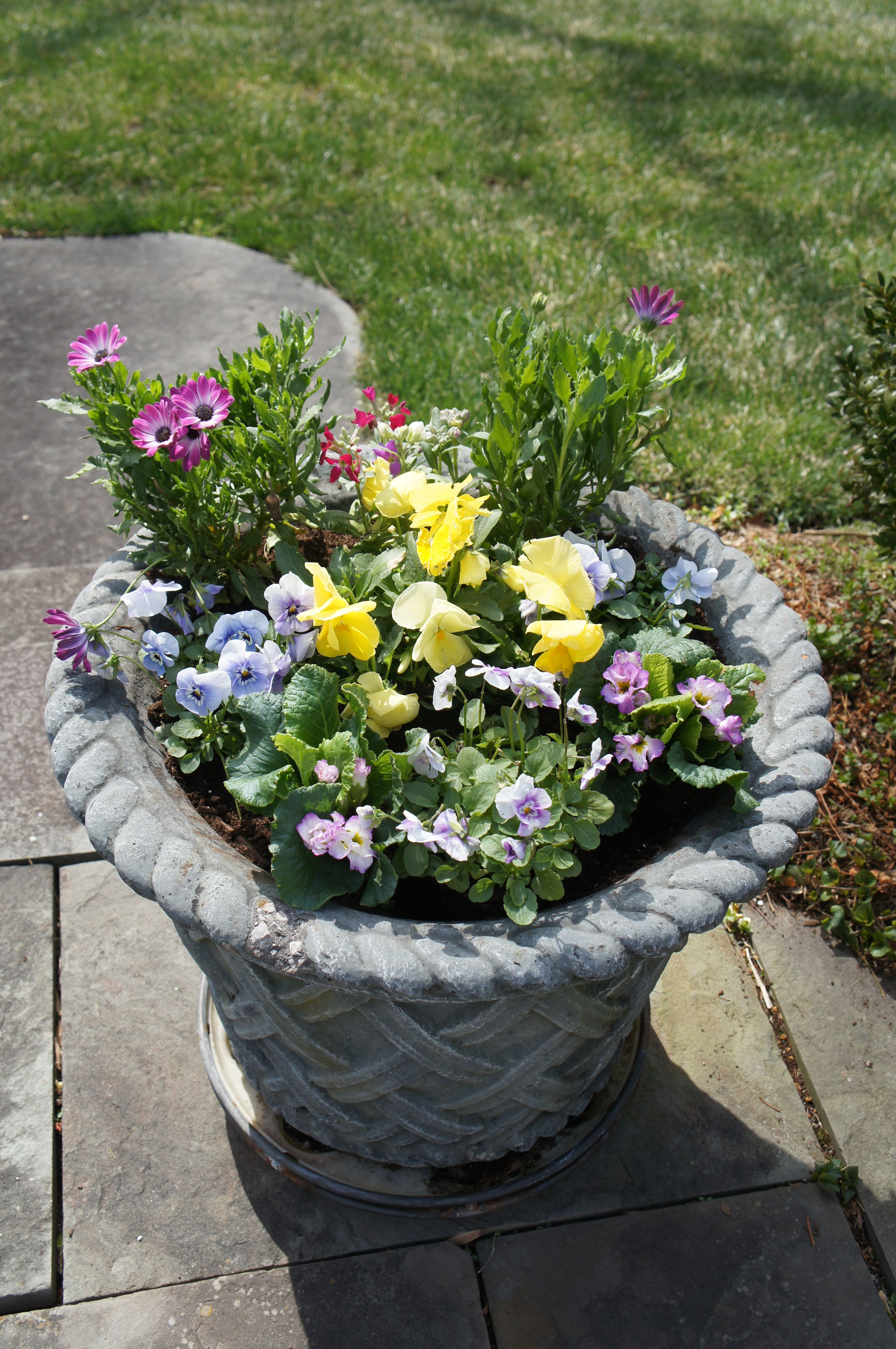 Flower Garden Borders