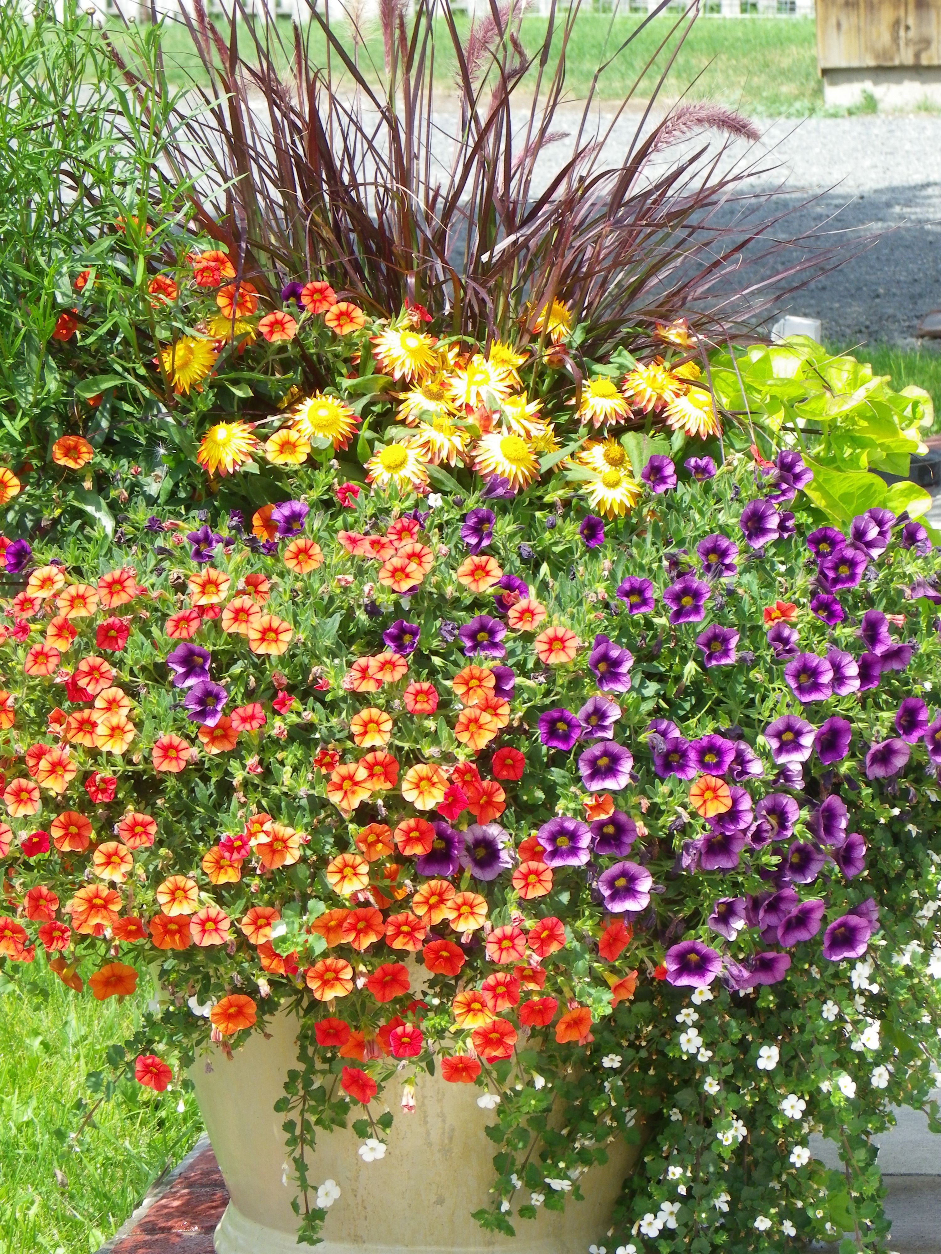 Summer Flower Garden Border Ideas