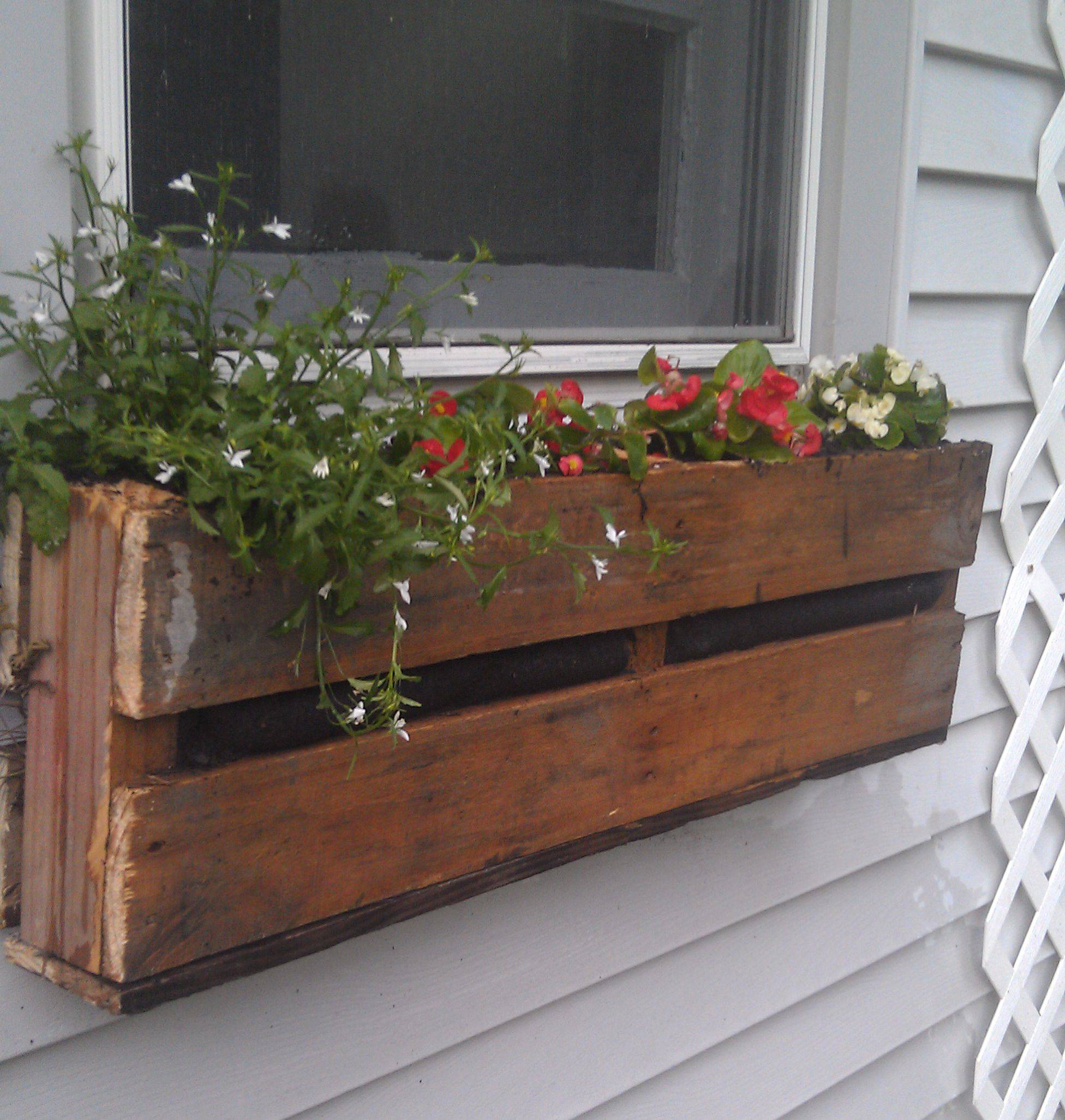 Outside Plants Planter Boxes