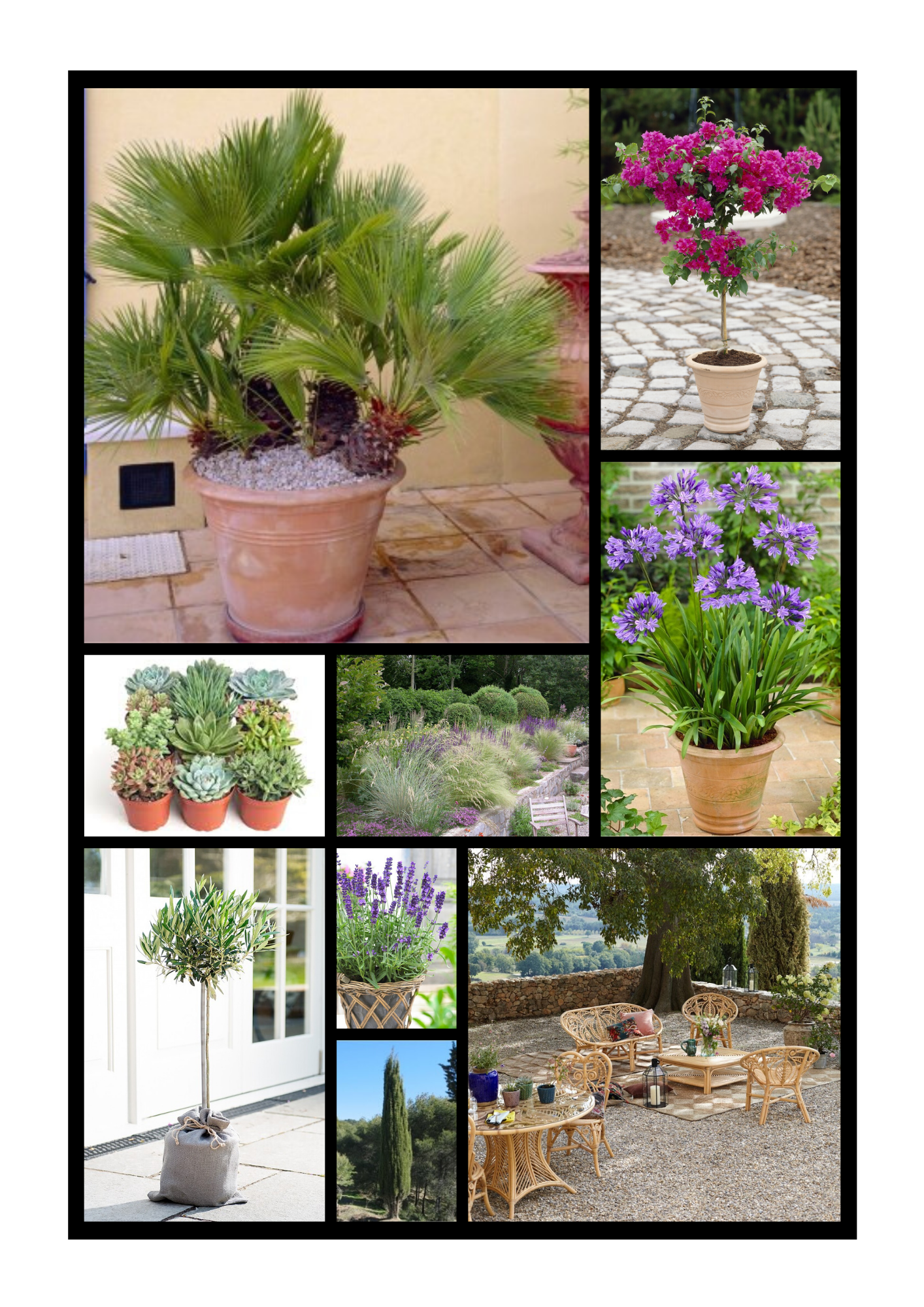 A Mediterranean Garden