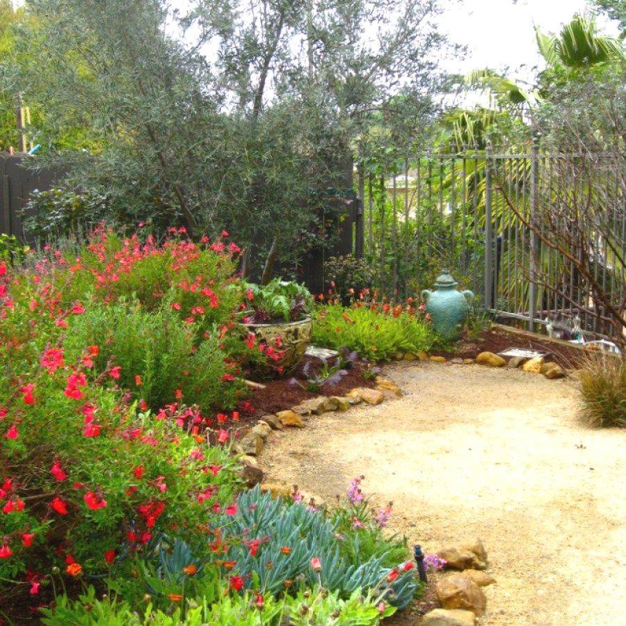 A Mediterranean Garden