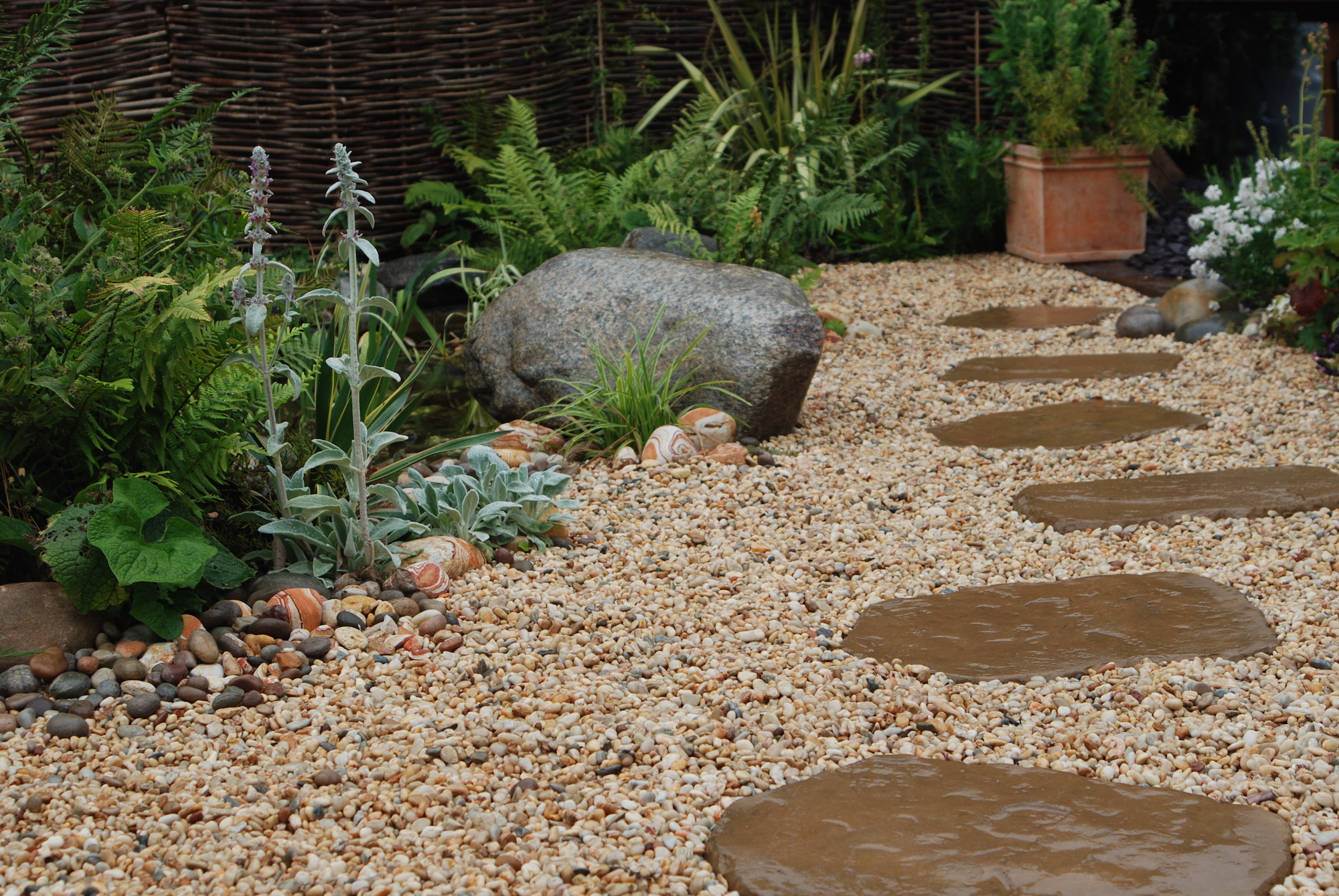 A Mediterranean Garden