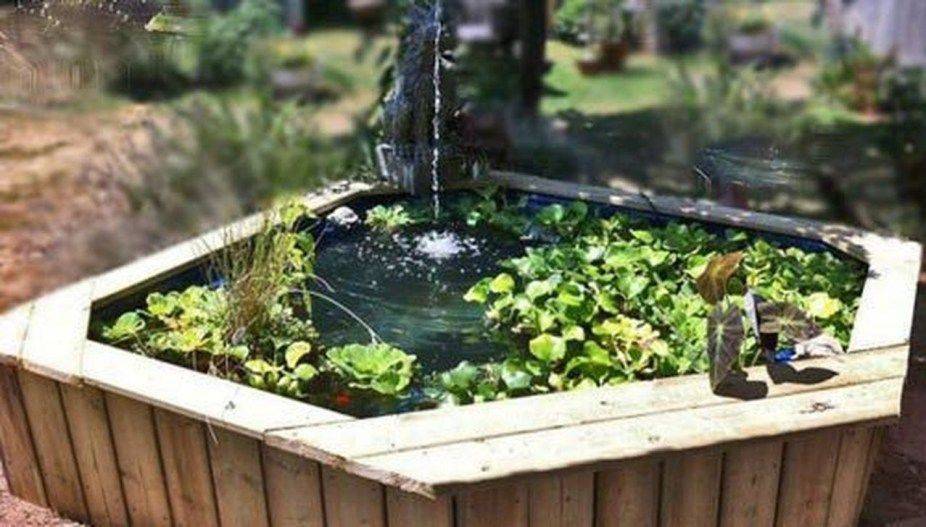 Aquascape Idea Fresh Water Fish Tank