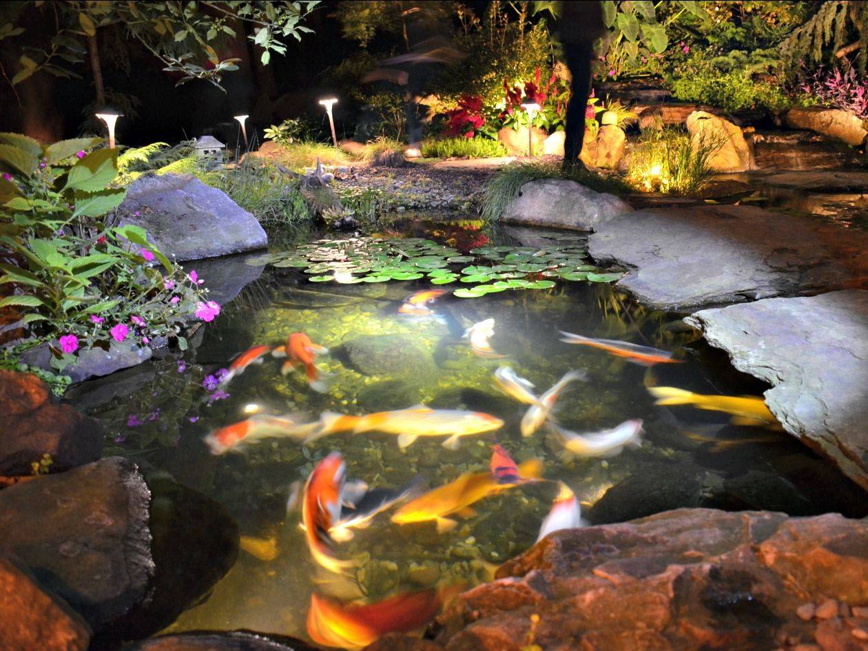 Inspiring Modern Backyard Pond Ideas