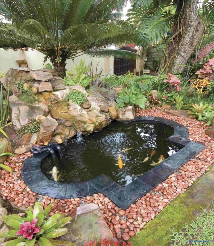 Beautiful Aquatic And Garden Dcor Ideas