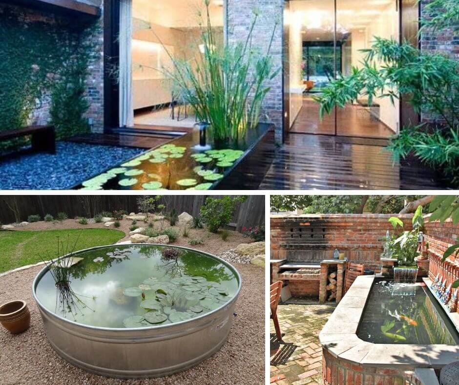 Container Water Garden Ideas
