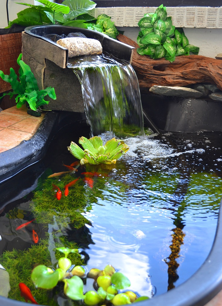 Top Garden Aquarium And Pond Ideas