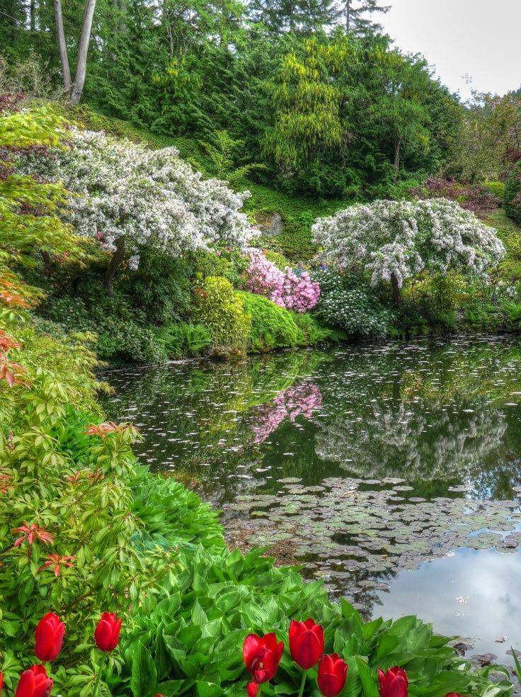 Most Beautiful Butchart Gardens Httpssilahsilahcomgarden
