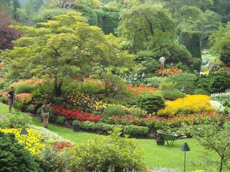 Creative Ideas Mediterranean Garden Plants Home Decor