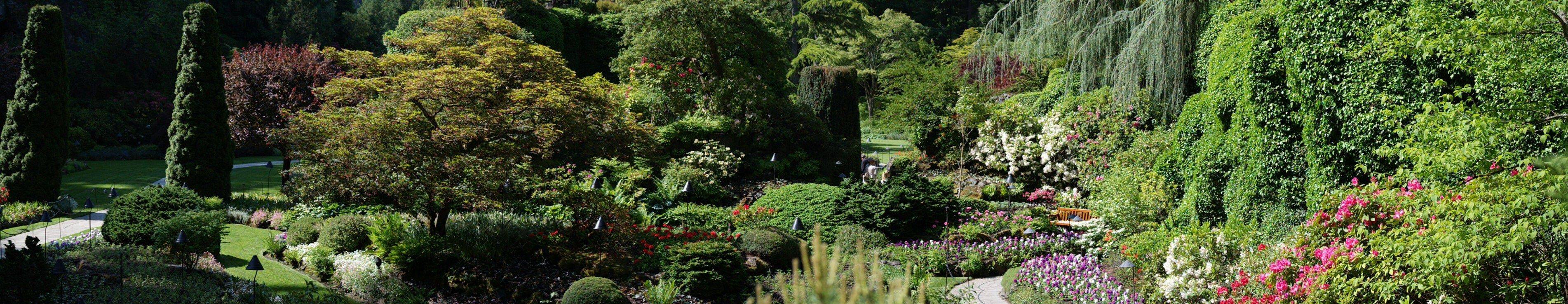 Victoria Bc Beautiful Gardens