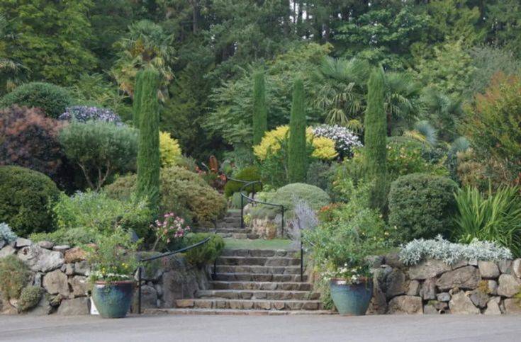 Mediterranean Garden