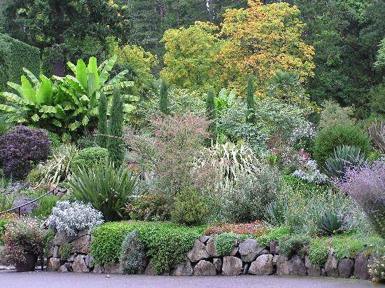 The Mediterranean Garden