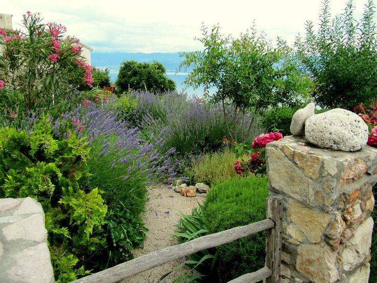 The Mediterranean Garden