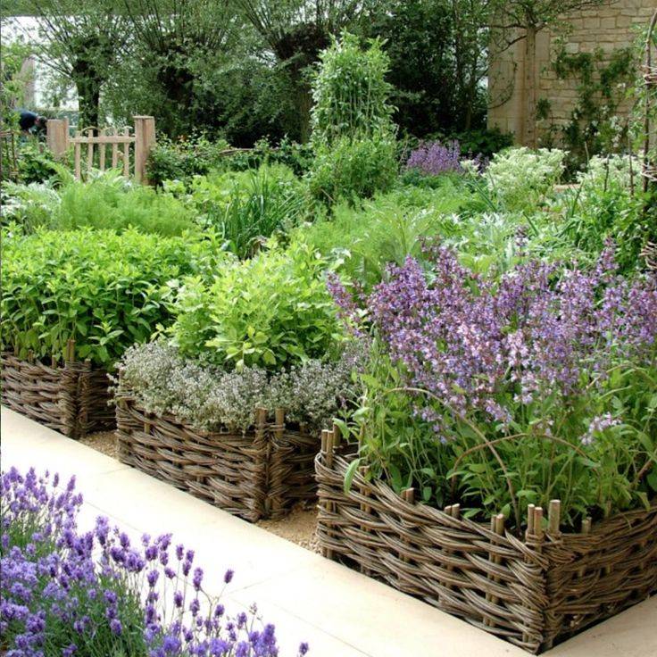 Best Front Door Flower Pots
