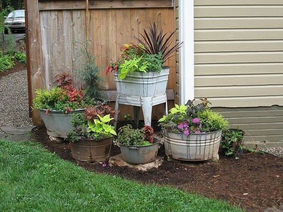 Summer Container Garden