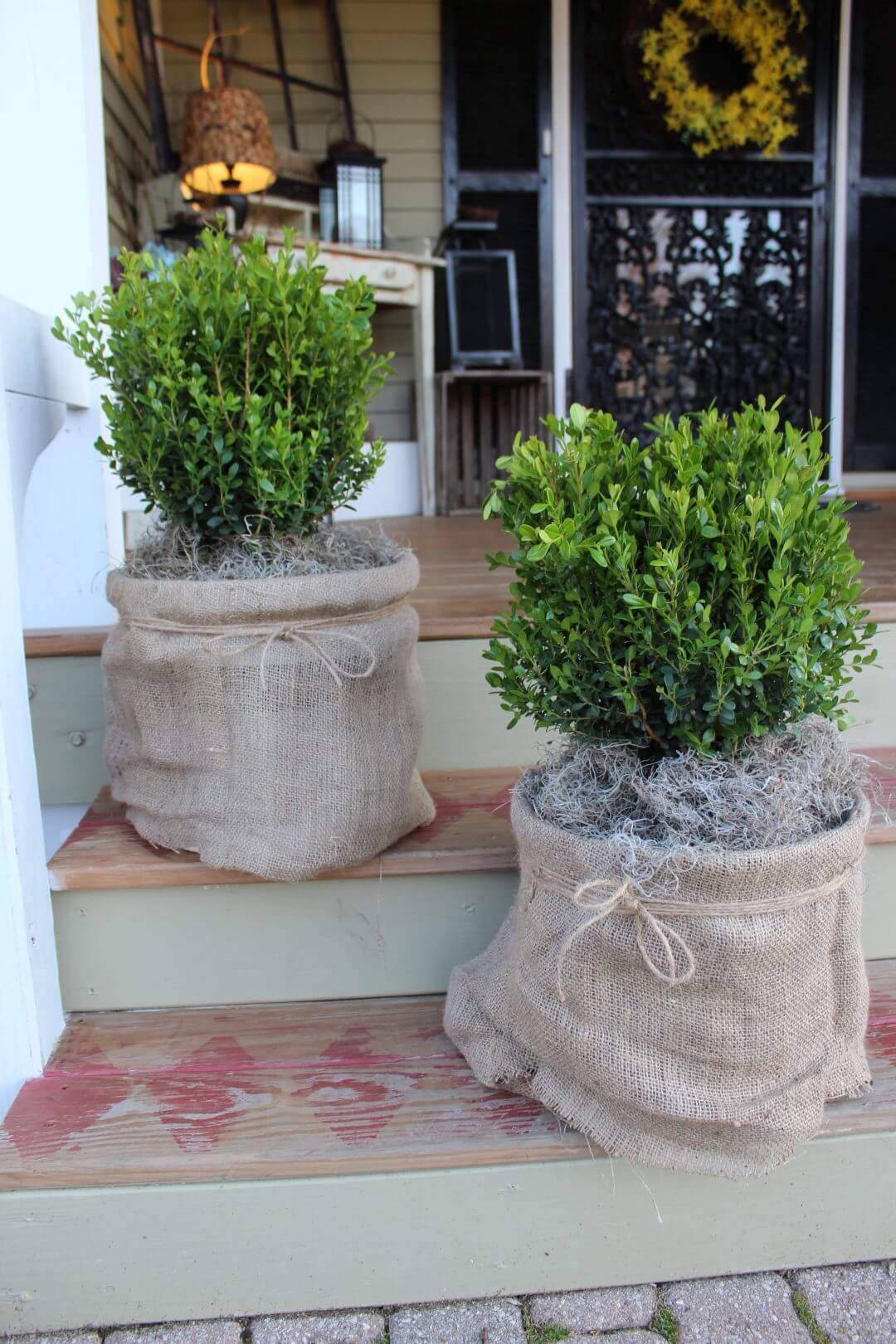 Summer Container Garden