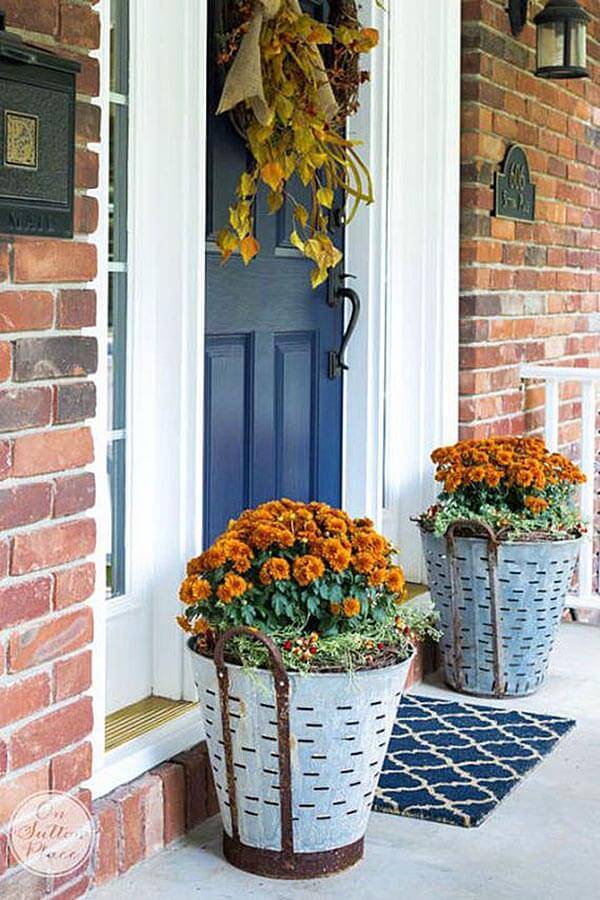 Amazing Summer Planter Ideas