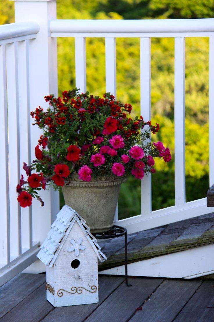 Rustic Garden
