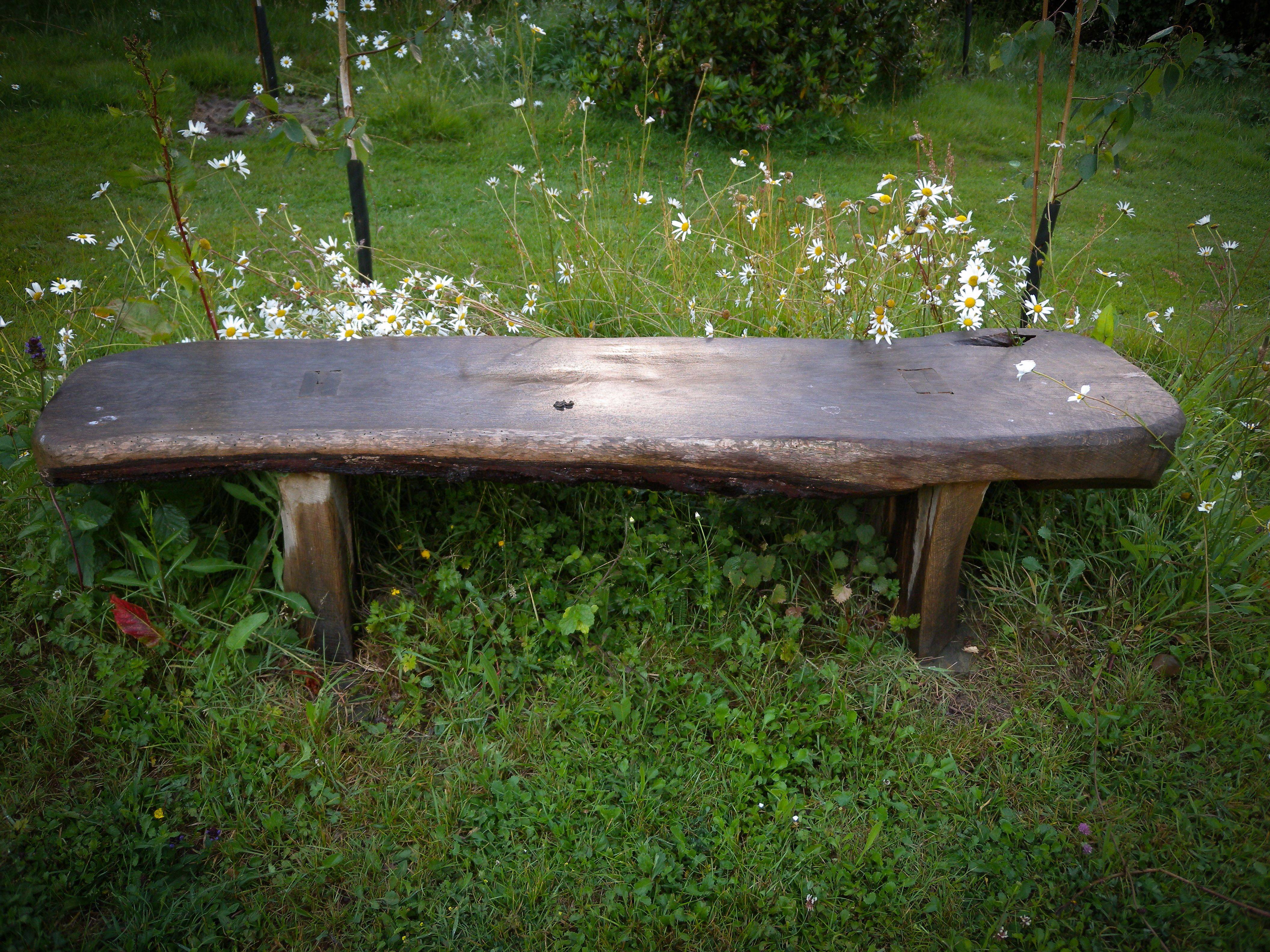 Driftwood Branch Bench