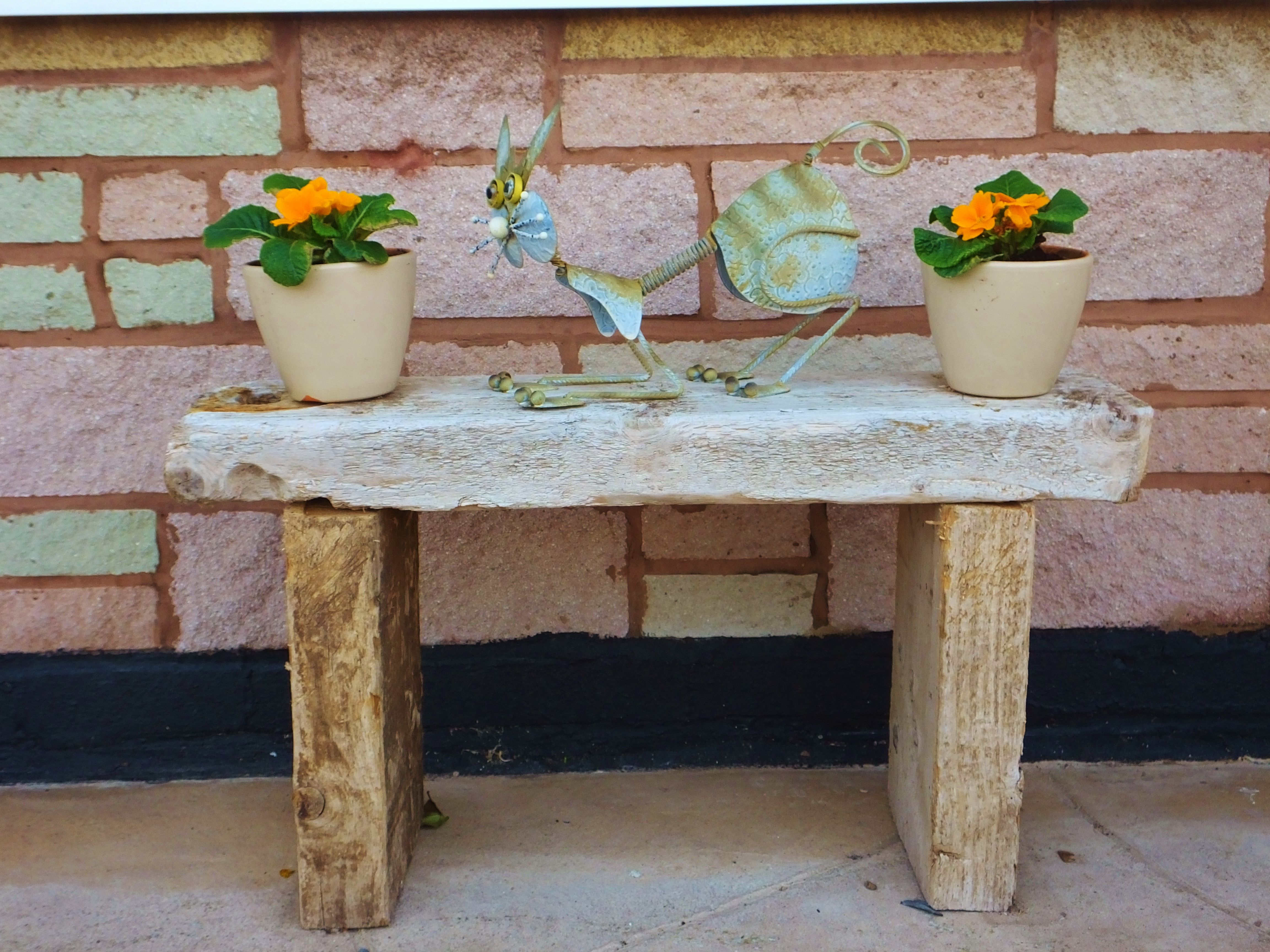 Tree Wood Projects