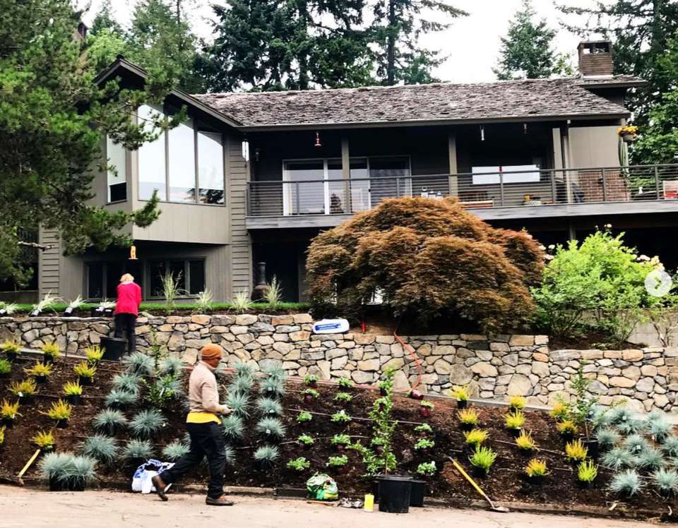 Best Mid Century Modern Landscaping Ideas Comedecor Modern
