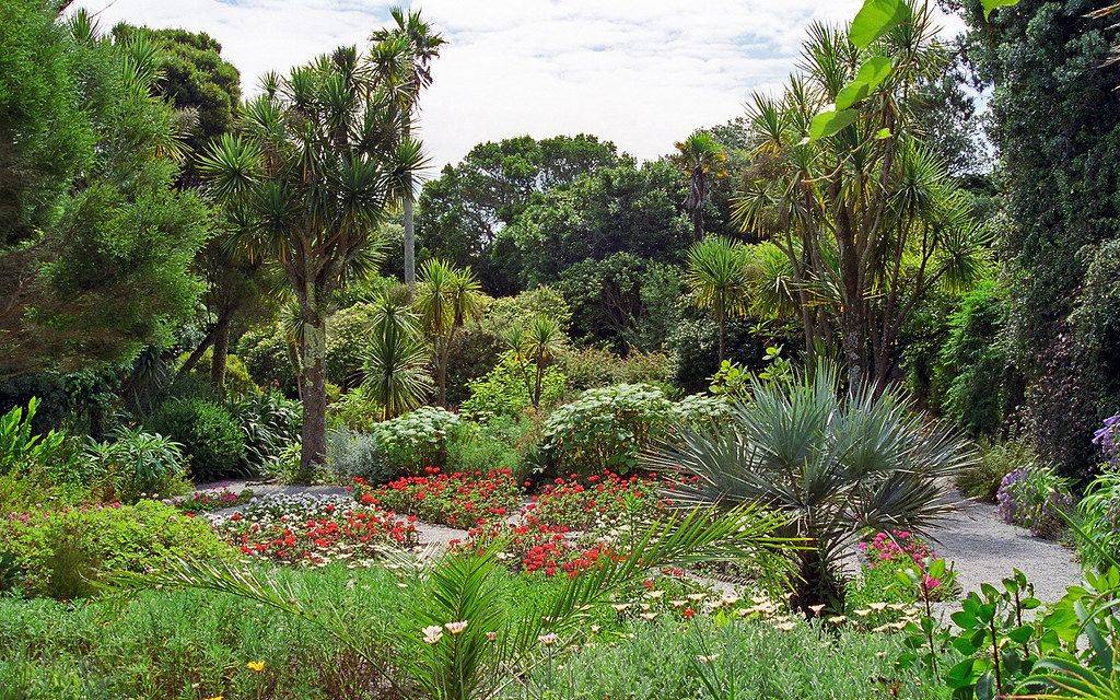 Scilly Isles Garden Visits