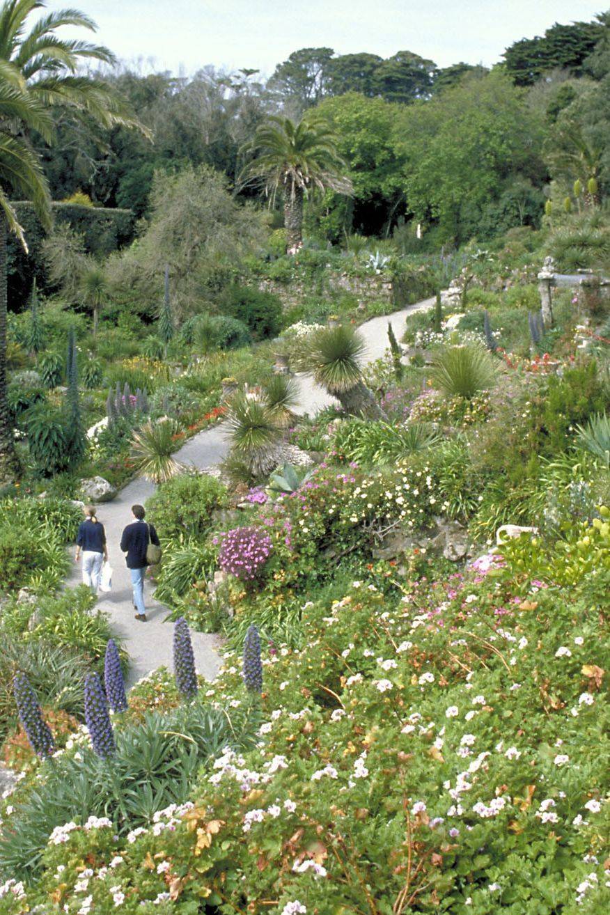 Tresco Abbey Gardens