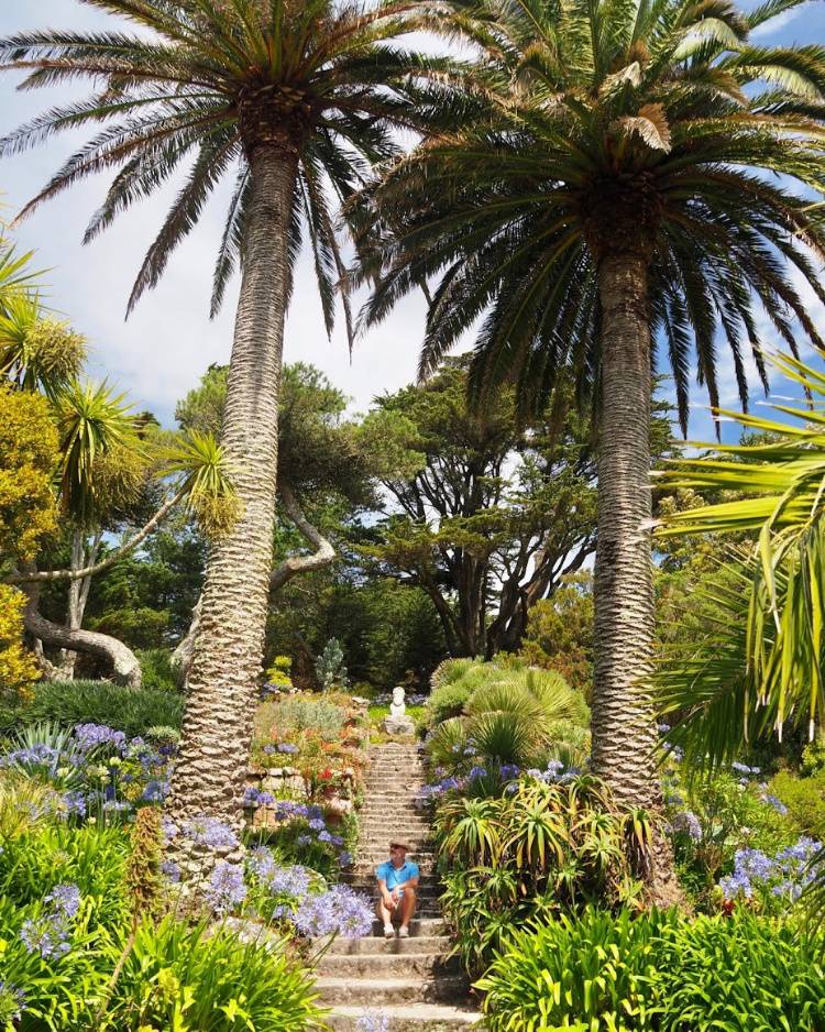 Tresco Abbey Garden