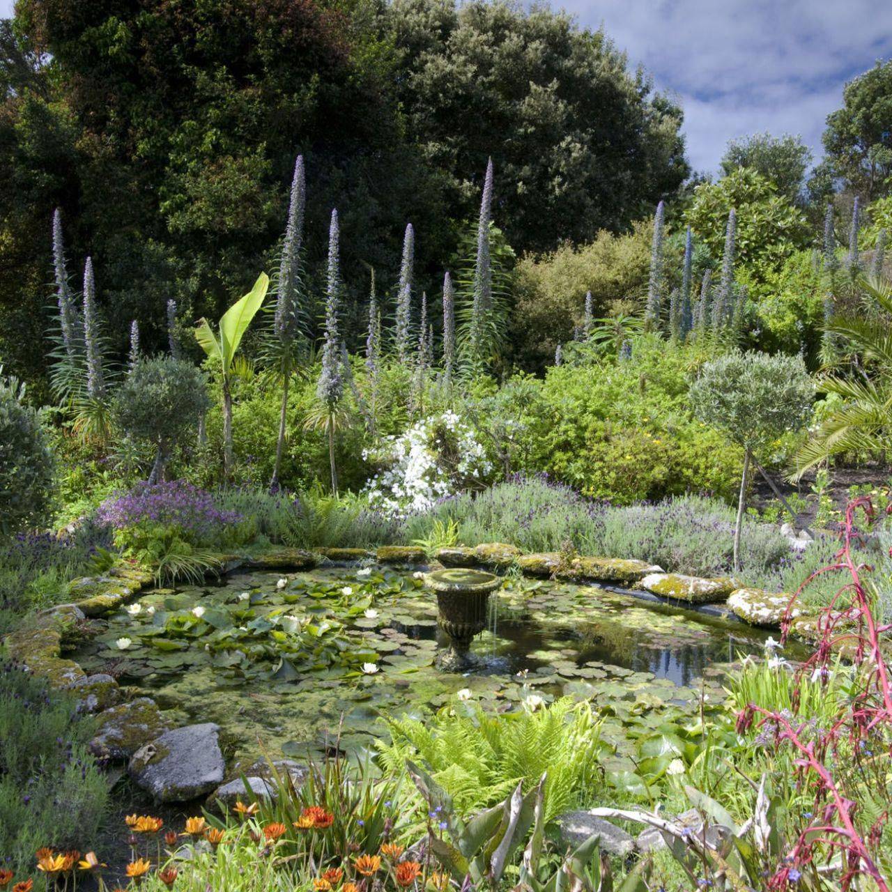 Tresco Abbey Gardens