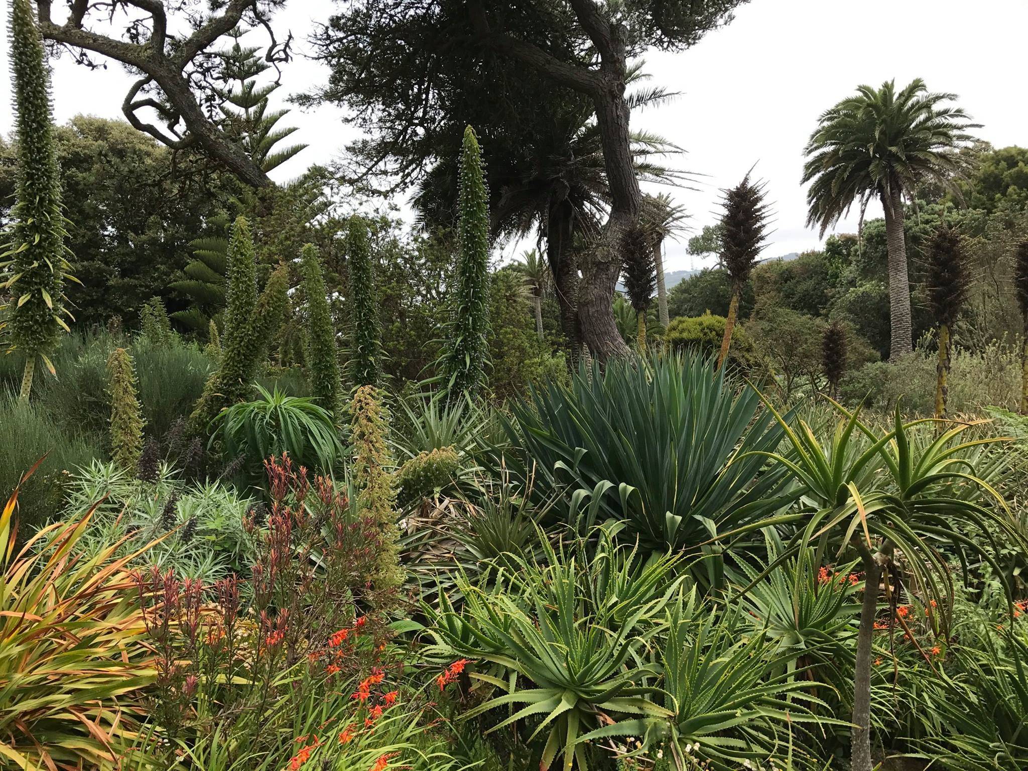Other Beautiful English Gardens