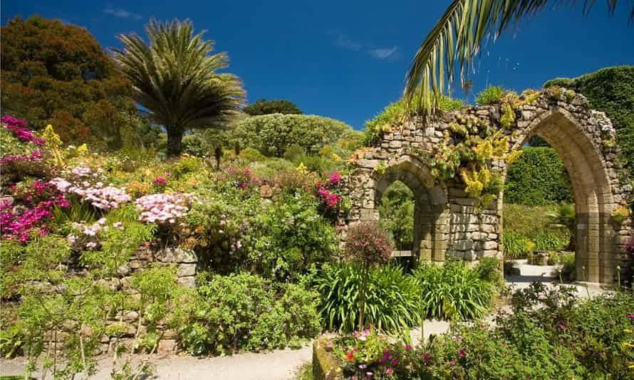 Tresco Abbey Gardens