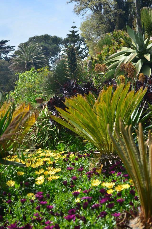 Tresco Abbey Gardens