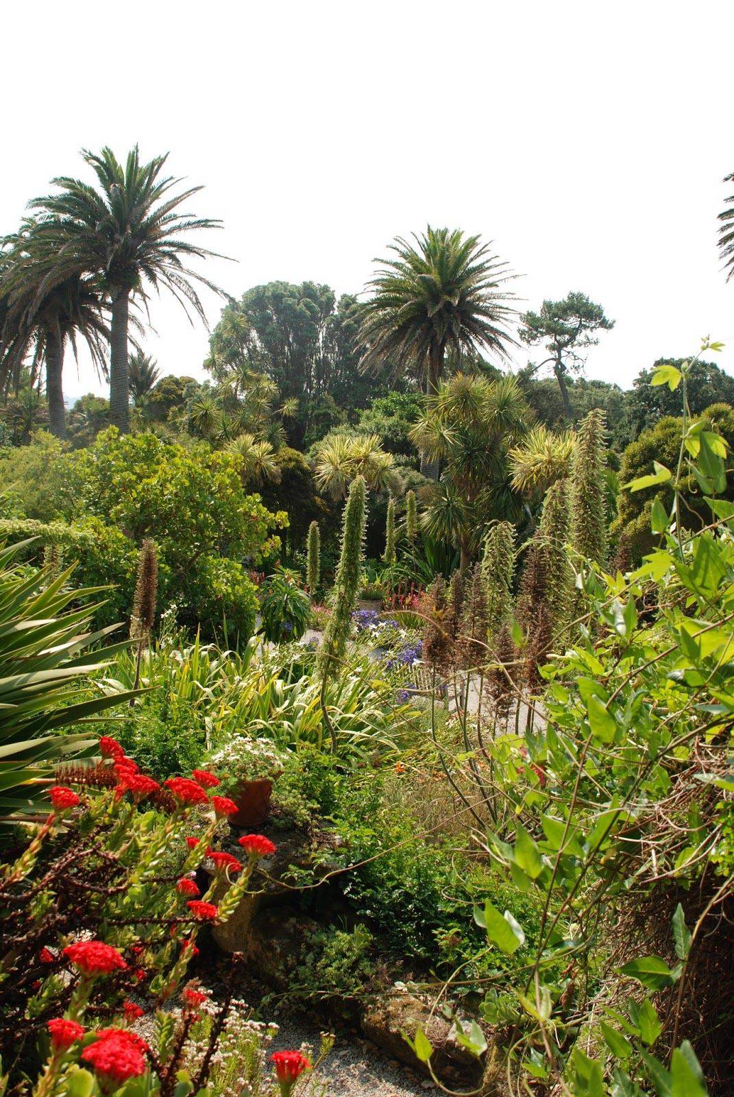 Tresco Abbey Gardens