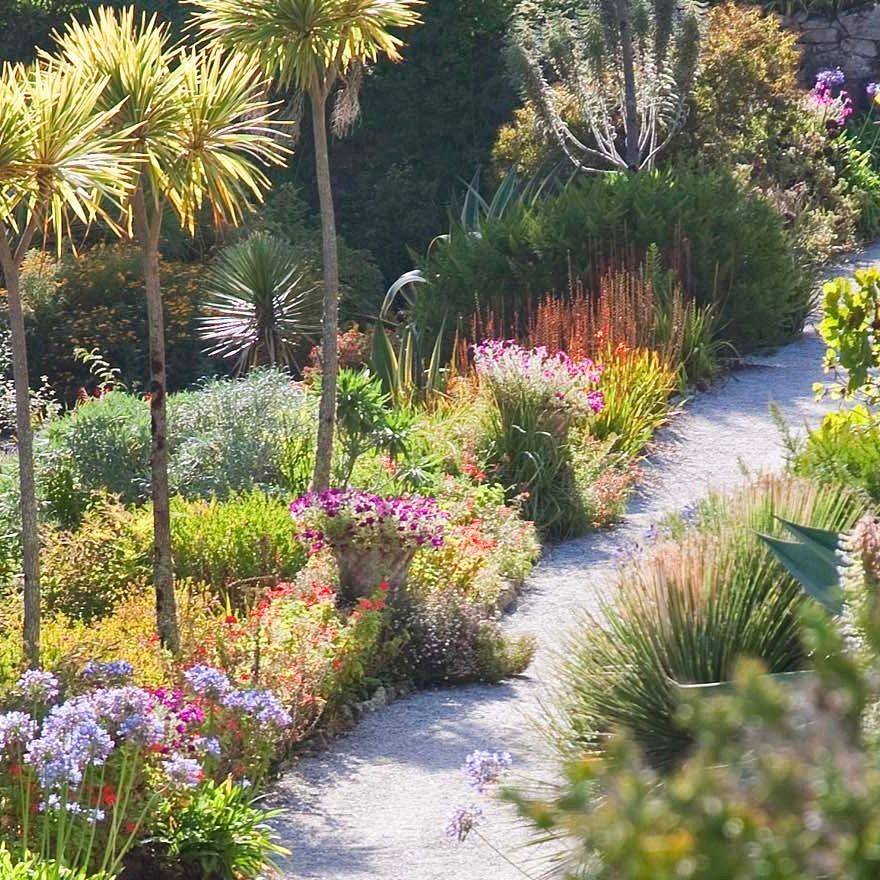 Tresco Abbey Gardens