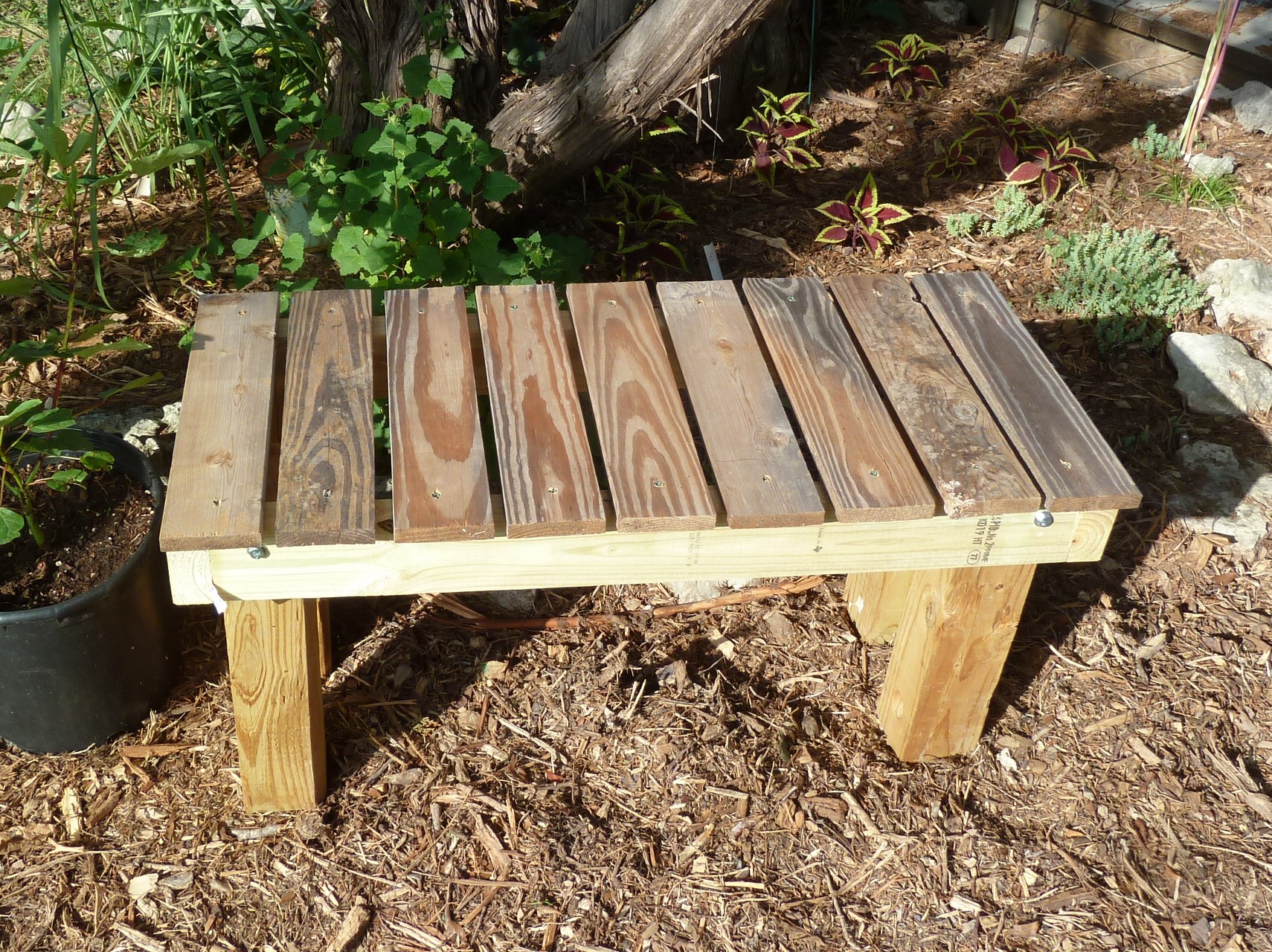 Simple Timber Bench