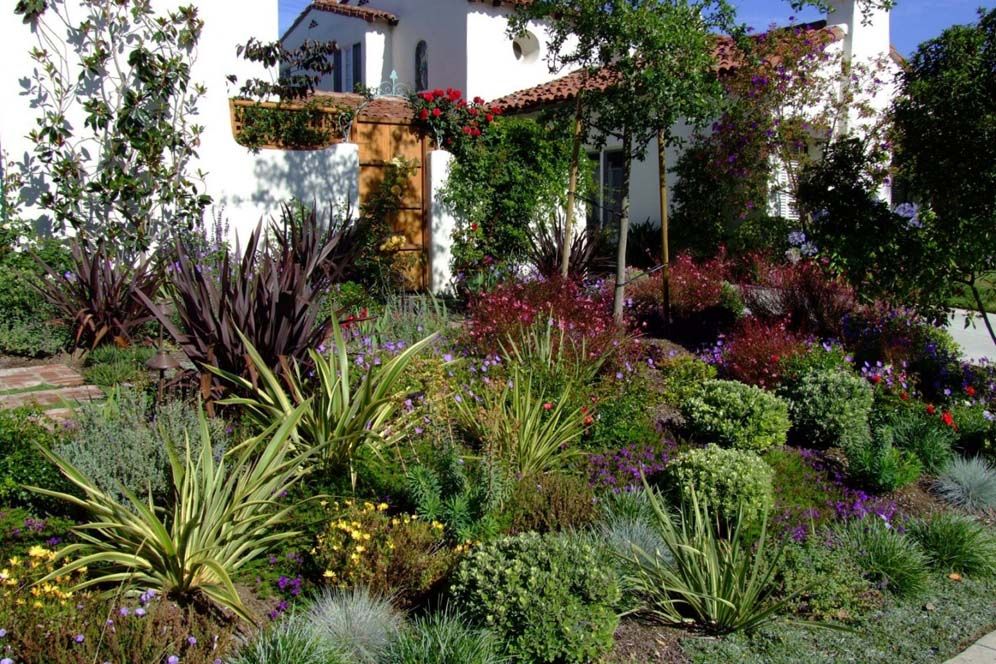 Imgjpg Tuscan Landscaping
