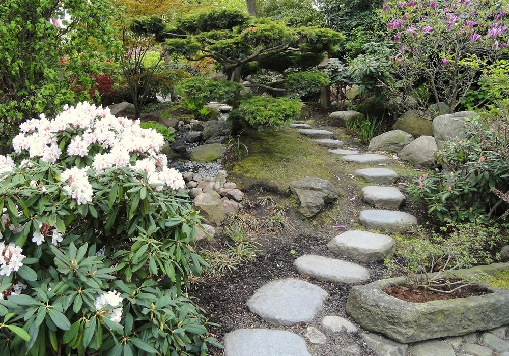 Japanese Garden Ideas